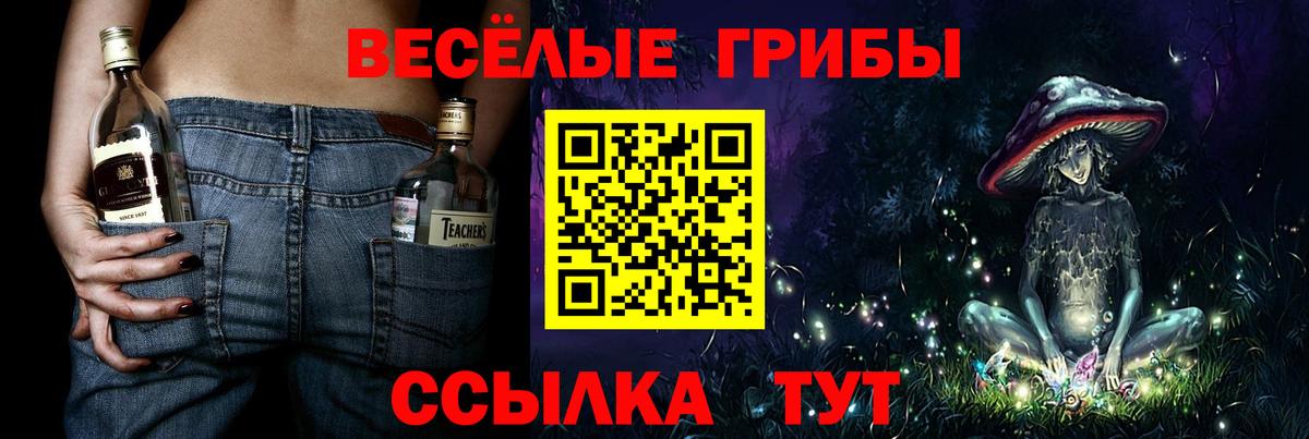 Галлюциногенные грибы MAGIC MUSHROOMS  как найти закладки  Пугачёв  Вход с VPN 